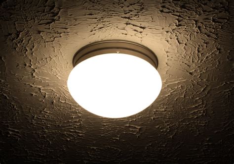 bug screen over electric box in ceiling light|dead bugs in ceiling light fixtures.